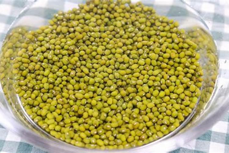 豆饼怎么发酵做肥料