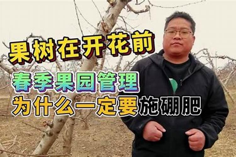 果树花期施什么肥果树花期施哪些肥
