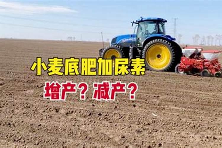 尿素是否适合做玉米底肥