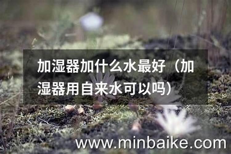 颗粒硼肥的正确使用方法