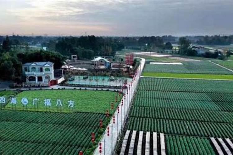 韭菜喷叶面肥用磷酸二氢钾好吗