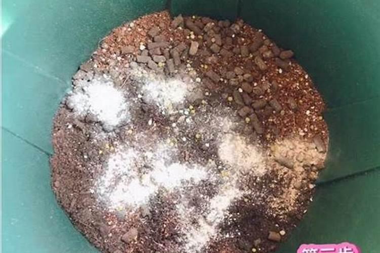 花施肥施过量多久会出现症状