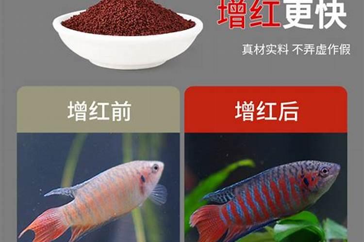 三个0.3营养液是什么肥料