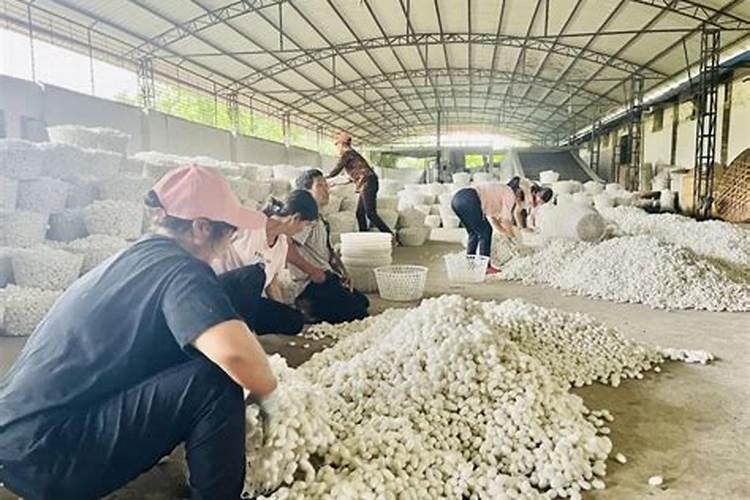 喜满地水溶肥在网上可以买到吗？