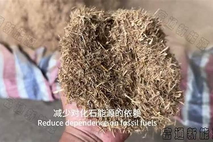 玉米杆烧制的灰该如何给树桩盆景施肥？