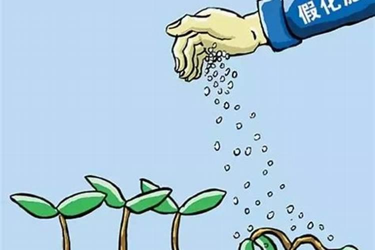 肥料登记证可以授权使用吗
