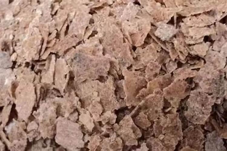 西红柿开花结果时施什么肥