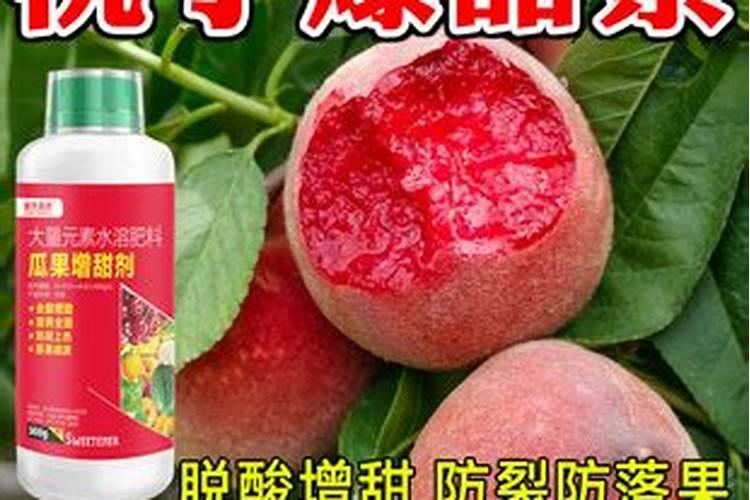 黄桃施肥最佳时间 施什么肥料好