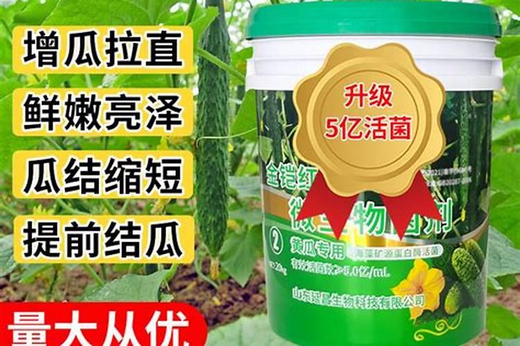 温室黄瓜使用什么水溶肥提高产量？