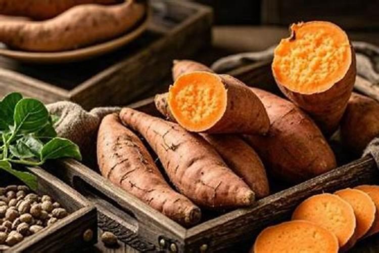 怎样种番薯最生多