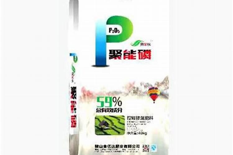 刀豆的种植时间与方法