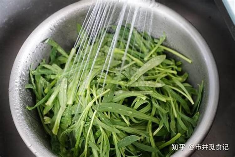 面条菜怎么种 面条菜的种植方法