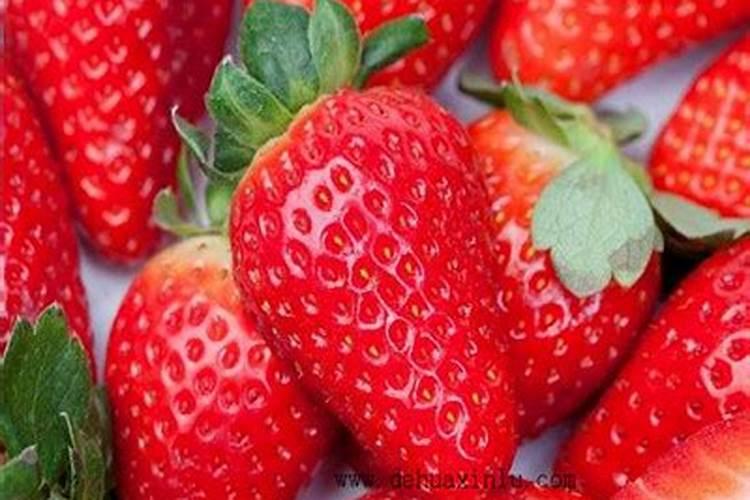 草莓适合施加什么样的肥料