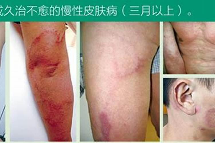春羽适合客厅的水产植物