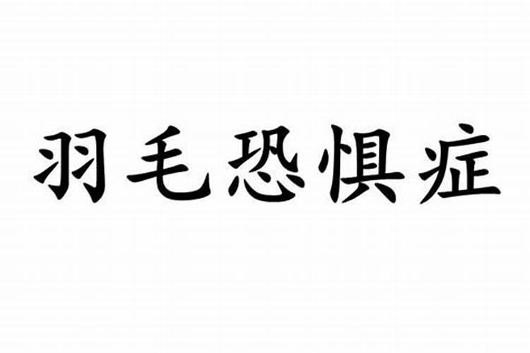 大家看看这盆是不是春羽