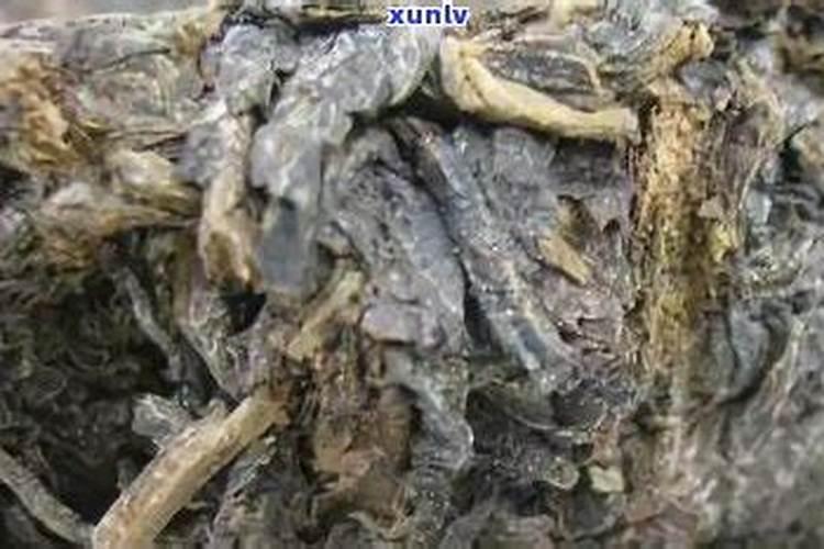 烂菜叶可以做肥料