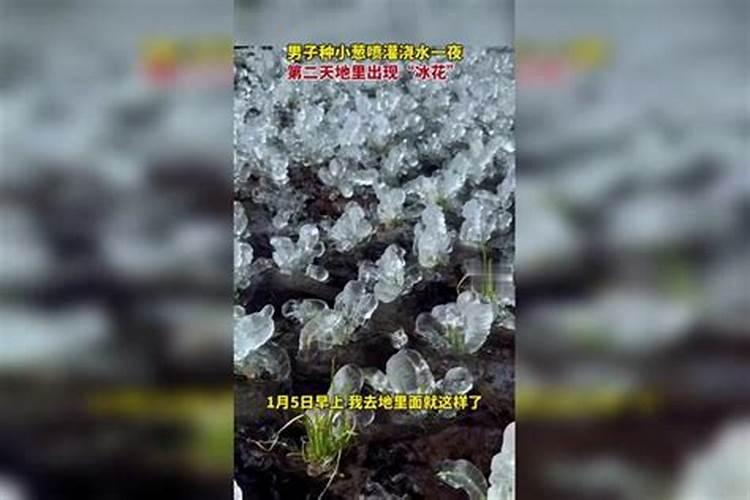 如果刚施完肥遇到了下雨天,会不会导致肥料流失呢？