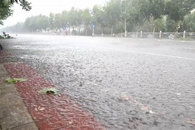 兰花头天浇水了,苐二天就下了几天大雨有影响吗？