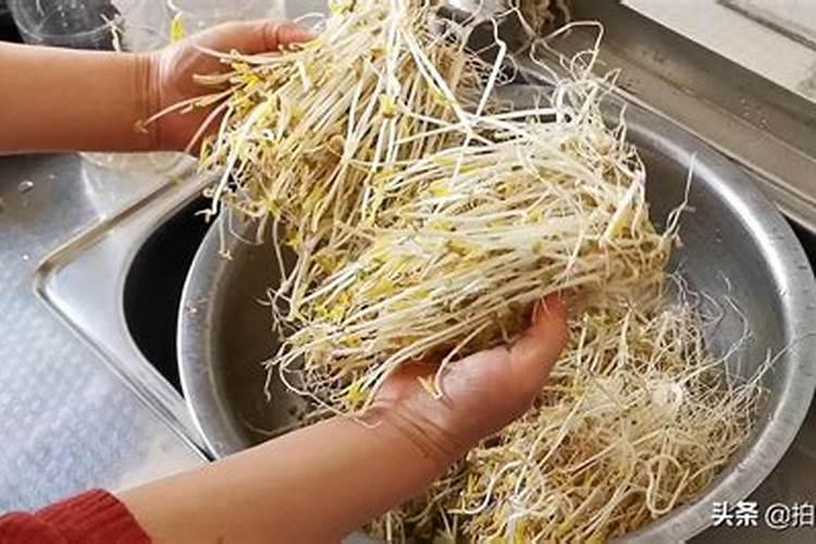 如何区分使用化肥的豆芽？