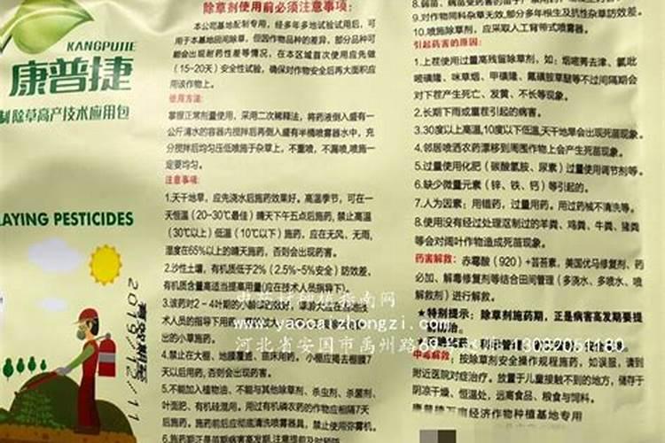 白鲜皮种植技术及亩收益 和野生的有何区别