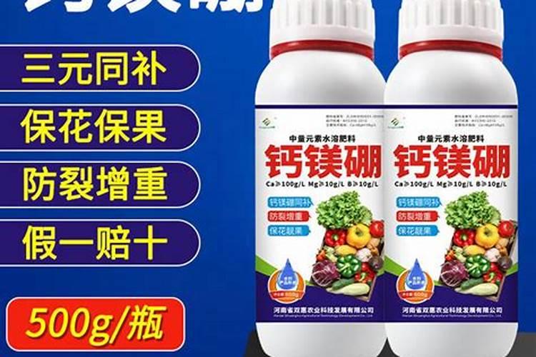 种植蔬菜多久施一次肥