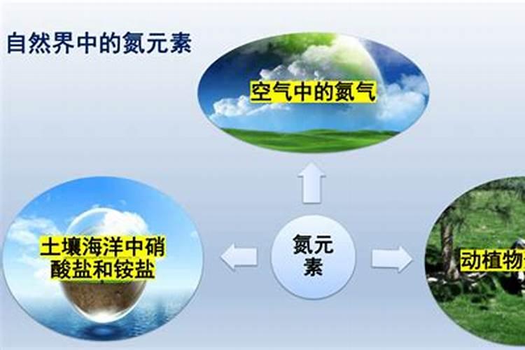 二氧化氮能做气体肥料吗？