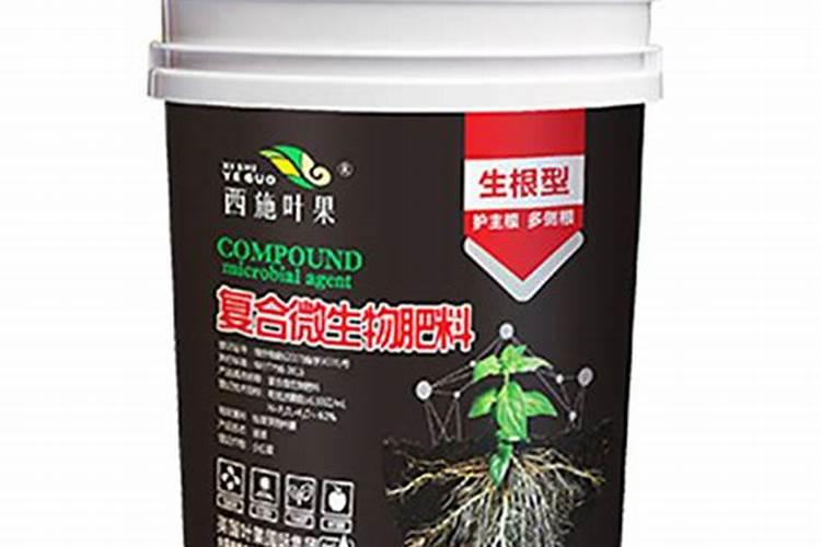 促进根系生长用什么肥料
