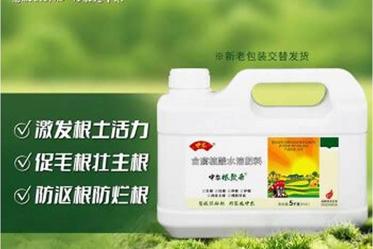 作物的根系不好怎么办,怎么能养根护根？