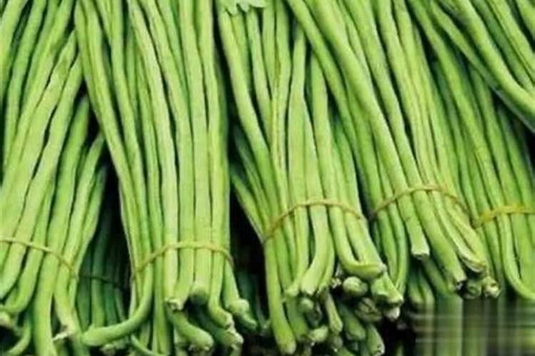 种豇豆的最佳肥料