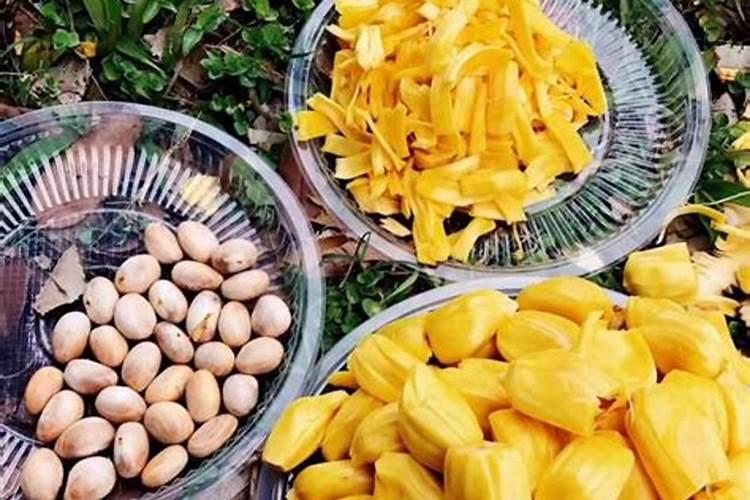 菠萝蜜什么时候施肥最好 菠萝蜜哪个时候施肥最好