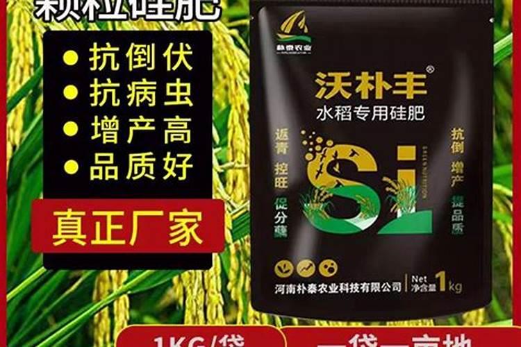 袁隆平超级稻高产栽培专用硅肥—金粒硅
