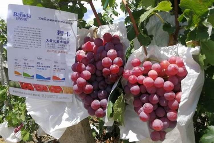 根多多生根水溶肥使用方法
