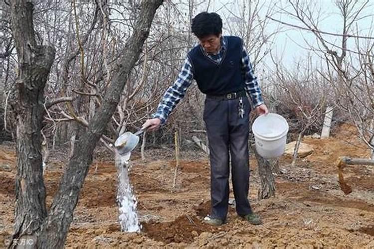 怎样区分氮肥和磷肥和钾肥