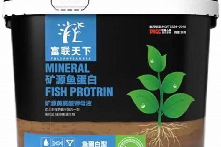 草莓可以用鱼蛋白冲施吗？