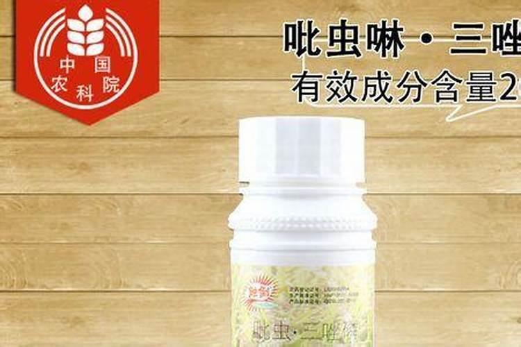 楚雄市是什么