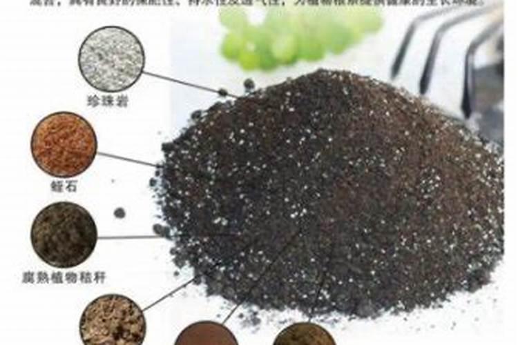 颗能状的复合肥养花兑水化液状还是埋入土中好