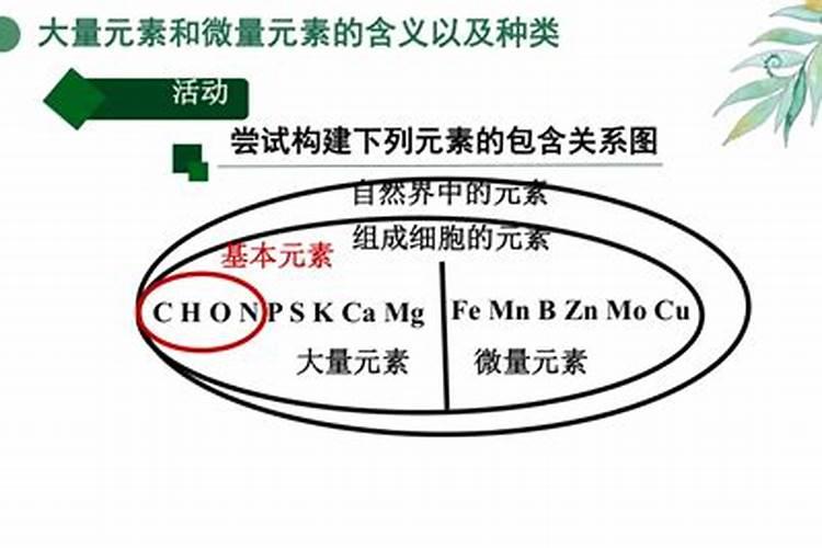 氯高了是什么原因？