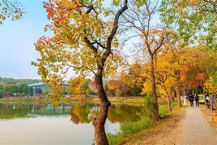 中国最好的果树叶面肥有哪些？