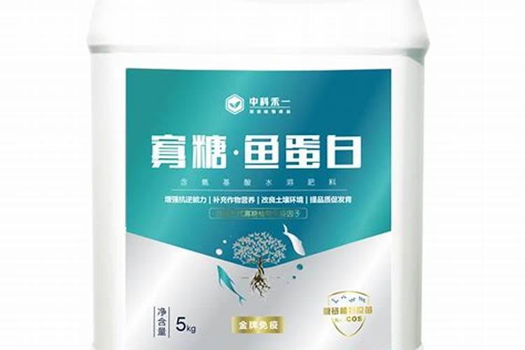 大连哪里有花鸟鱼市场