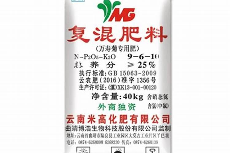 日本什么柑桔最好吃？