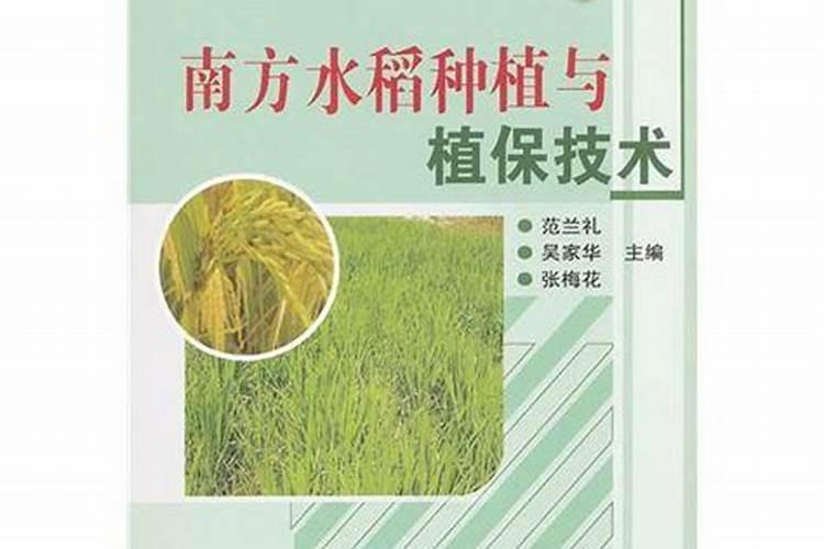 水稻苗期什么时候施肥