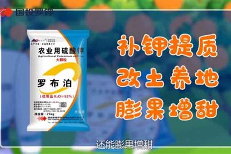 砂糖橘高产种植方法