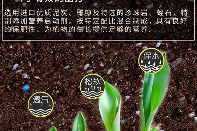水稻钾肥什么时候施