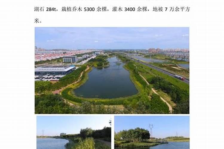 盐碱地用什么肥料好？