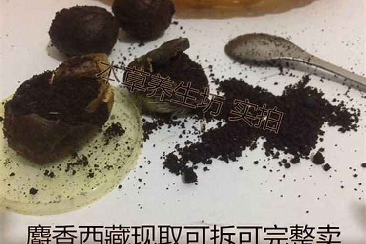 月季底肥你真的知道怎么用吗