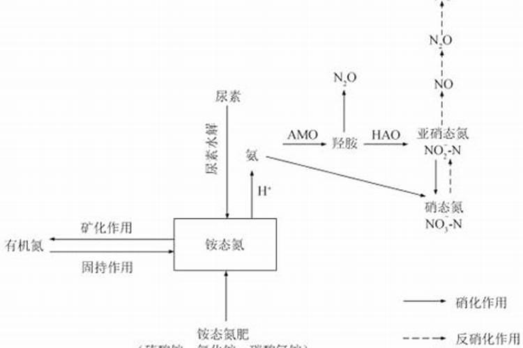 空心菜几天施一次肥