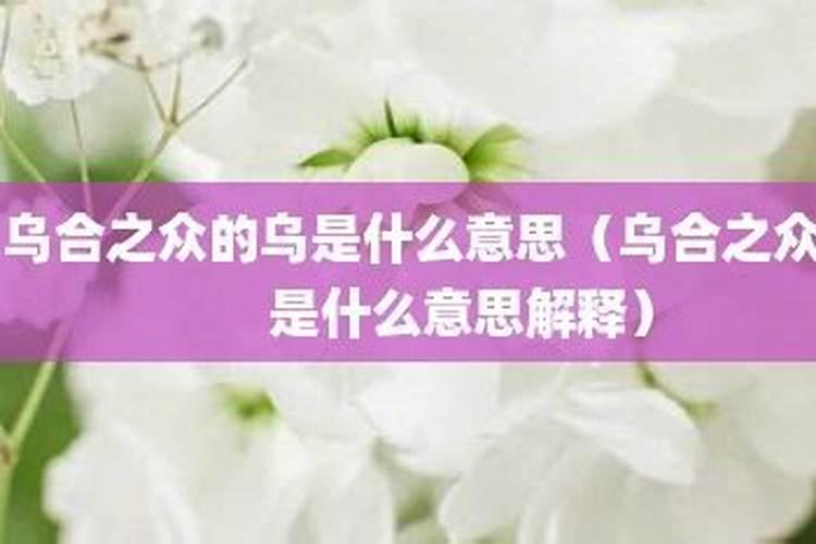 什么是汉乐府民歌？