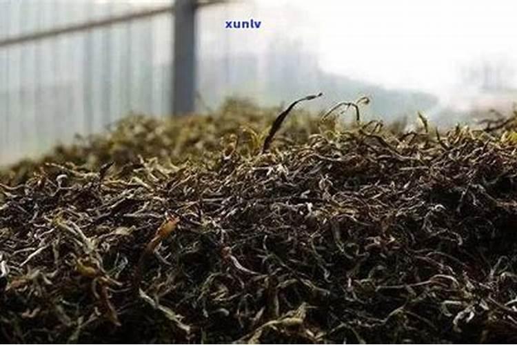 茶叶能发酵后做肥