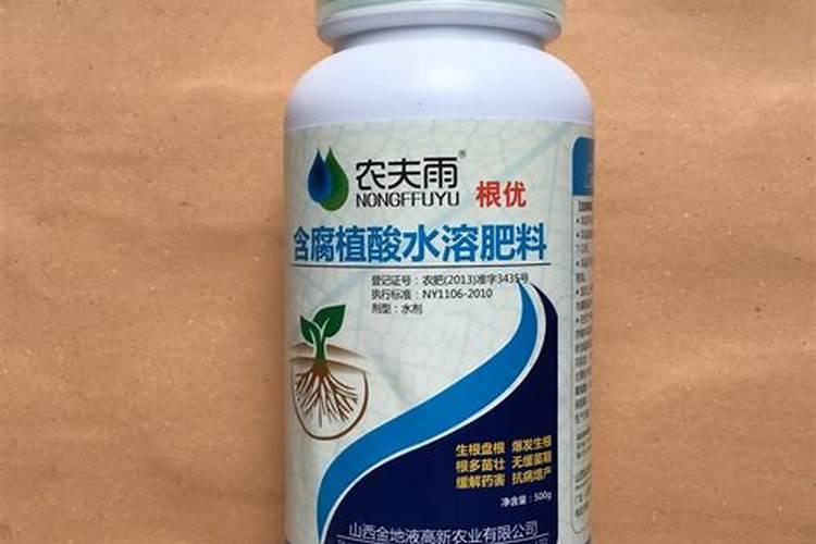 柑橘稳果药什么时候用
