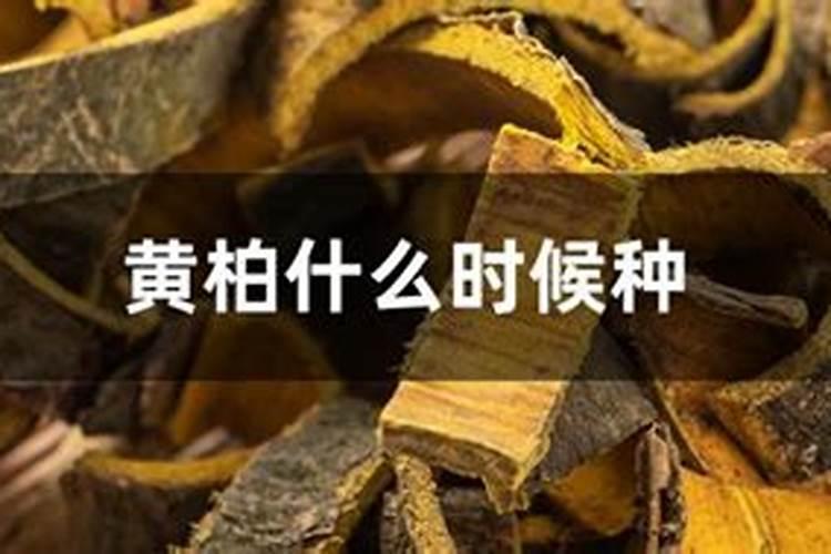 保钾利尿剂有哪些
